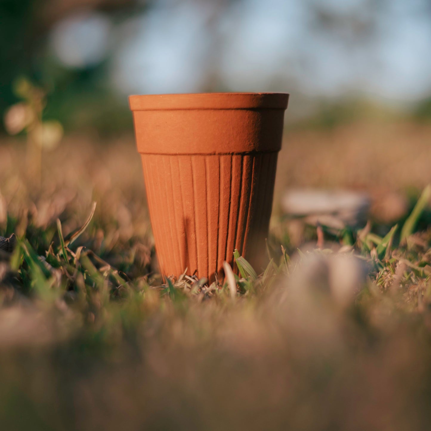 200 Ml, 50pcs Biodegradable Clay Cups| Disposable Drinking Cups